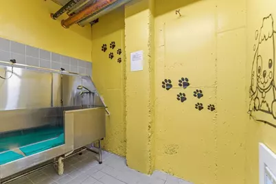 30 Penniman Rd #302, Boston, MA 02134 - Photo 23