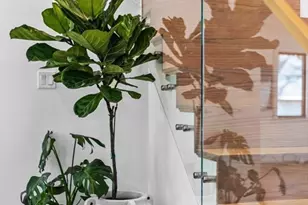 45 Rowena Rd, Newton, MA 02459 - Photo 3