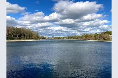 36 Beaconsfield Rd #2, Brookline, MA 02445 - Photo 13