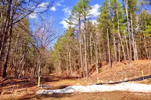 344B Hampshire Rd, Methuen, MA 01844 - Photo 5