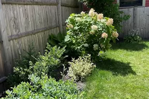 14 Carlton St, Somerville, MA 02143 - Photo 35