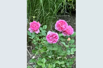 15 Southville Road, Southborough, MA 01772 - Photo 41