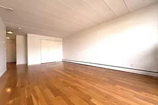 345 Harvard St, Cambridge, MA 02138 - Photo 5