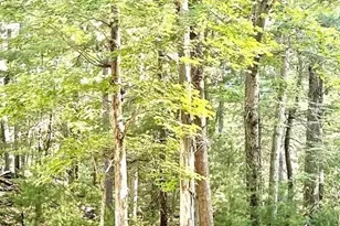 20 Algonquin Rd, Canton, MA 02021 - Photo 15