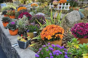 505 Washington Ave, Chelsea, MA 02150 - Photo 25