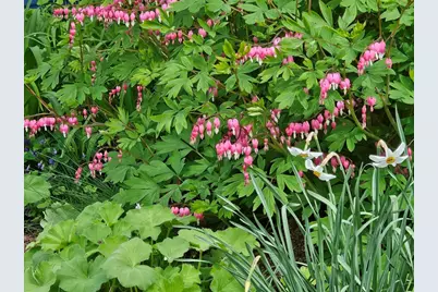 9 Hickory St, Gloucester, MA 01930 - Photo 37