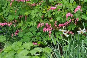 9 Hickory St, Gloucester, MA 01930 - Photo 37