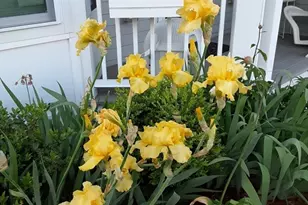 3 Strawberry Ln, Hudson, MA 01749 - Photo 39