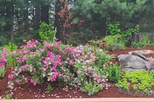 35 Greenside Ln, Acton, MA 01720 - Photo 29