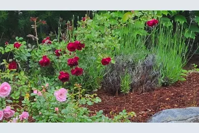 35 Greenside Ln #35, Acton, MA 01720 - Photo 29