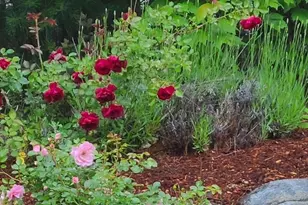 35 Greenside Ln, Acton, MA 01720 - Photo 29