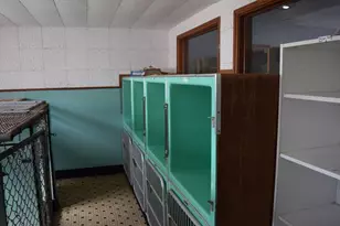 475 Cedar Ave, Swansea, MA 02777 - Photo 33