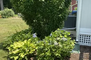 13 Shawmut Ave Ext, Wayland, MA 01778 - Photo 25