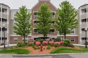 318 Rindge Ave, Cambridge, MA 02140 - Photo 11