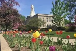 20 Whitman Rd, Waltham, MA 02453 - Photo 21