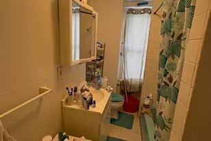 12 Mt Pleasant St, Boston, MA 02119 - Photo 5