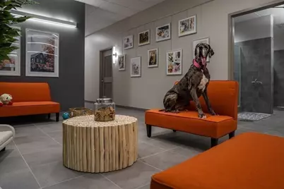 240 Devonshire St #3708, Boston, MA 02110 - Photo 39