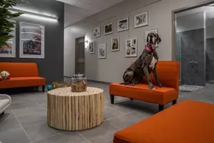 240 Devonshire St, Boston, MA 02110 - Photo 39