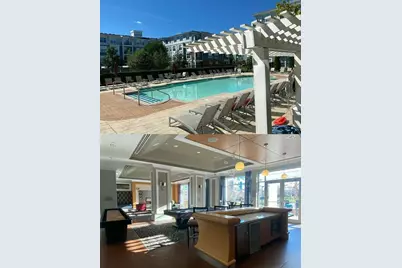 4 Repton Cir #4309, Watertown, MA 02472 - Photo 3