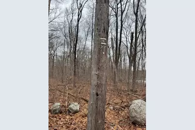 Lot 5 Gould Road, Charlton, MA 01507 - Photo 3