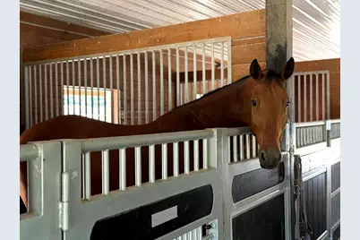 57 French Court, Dunstable, MA 01827 - Photo 33