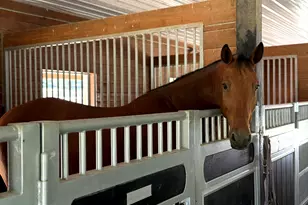 57 French Ct, Dunstable, MA 01827 - Photo 33