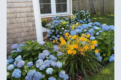 9 Victory Ln, Yarmouth, MA 02664 - Photo 7