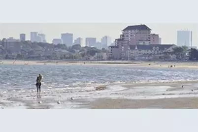 350 Revere Beach Blvd #7S, Revere, MA 02151 - Photo 37