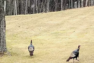 194 Bridle Cross Rd, Fitchburg, MA 01420 - Photo 19