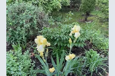 26 Nickerson Road, Bedford, MA 01730 - Photo 7