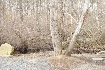 3 Circuit Rd N, Yarmouth, MA 02673 - Photo 25