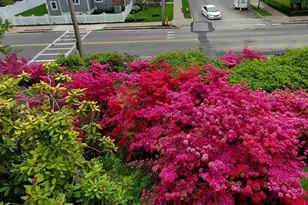 833 Franklin St, Melrose, MA 02176 - Photo 41