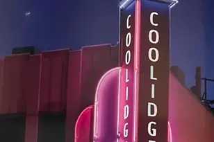 20 Webster St, Brookline, MA 02446 - Photo 19