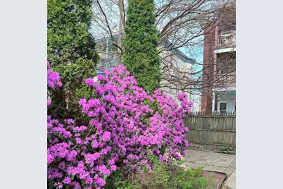 9 Willis St #1, Boston, MA 02125 - Photo 17