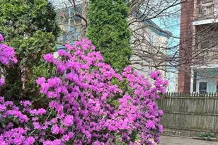 9 Willis St, Boston, MA 02125 - Photo 17