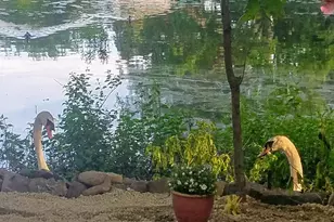 9 Oliver Rd, Weymouth, MA 02189 - Photo 35