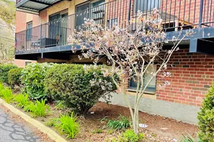 5 Linda Ln, Boston, MA 02125 - Photo 11