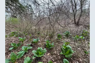 3 Howarth Rd, Oxford, MA 01540 - Photo 13