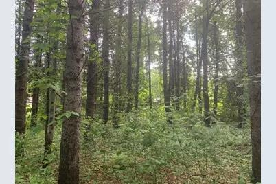 3 Howarth Rd, Oxford, MA 01540 - Photo 5