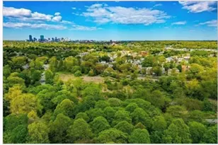 66 St Rose St, Boston, MA 02130 - Photo 29