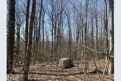 Lot 15 Colebrook River Rd, Tolland, MA 01034 - Photo 11