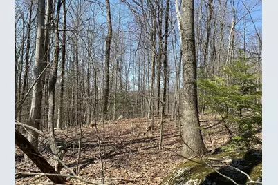 Lot 15 Colebrook River Rd, Tolland, MA 01034 - Photo 3