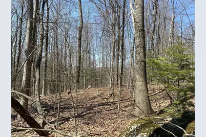 Lot 15 Colebrook River Rd, Tolland, MA 01034 - Photo 3