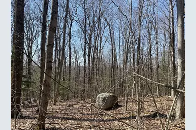 Lot 15 Colebrook River Rd, Tolland, MA 01034 - Photo 11