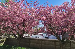 44 Mill St, Revere, MA 02151 - Photo 33