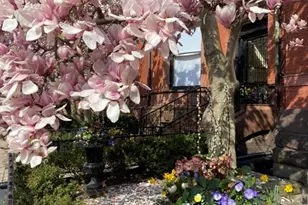 205 Commonwealth Ave, Boston, MA 02116 - Photo 23