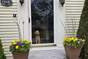 1 Lancaster Pl, Andover, MA 01810 - Photo 41