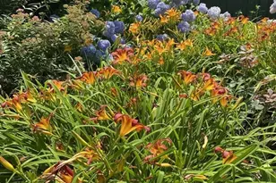 23 Parkwood Dr, Milton, MA 02186 - Photo 39