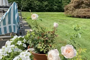 23 Parkwood Dr, Milton, MA 02186 - Photo 35