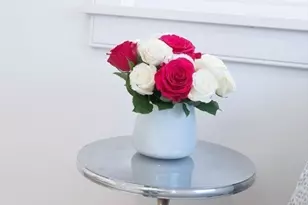 726 E 8th St, Boston, MA 02127 - Photo 15